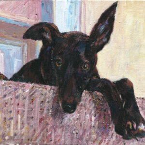 Painting in acrylic of a dark brown lurcher leaning on a sofa looking appealing