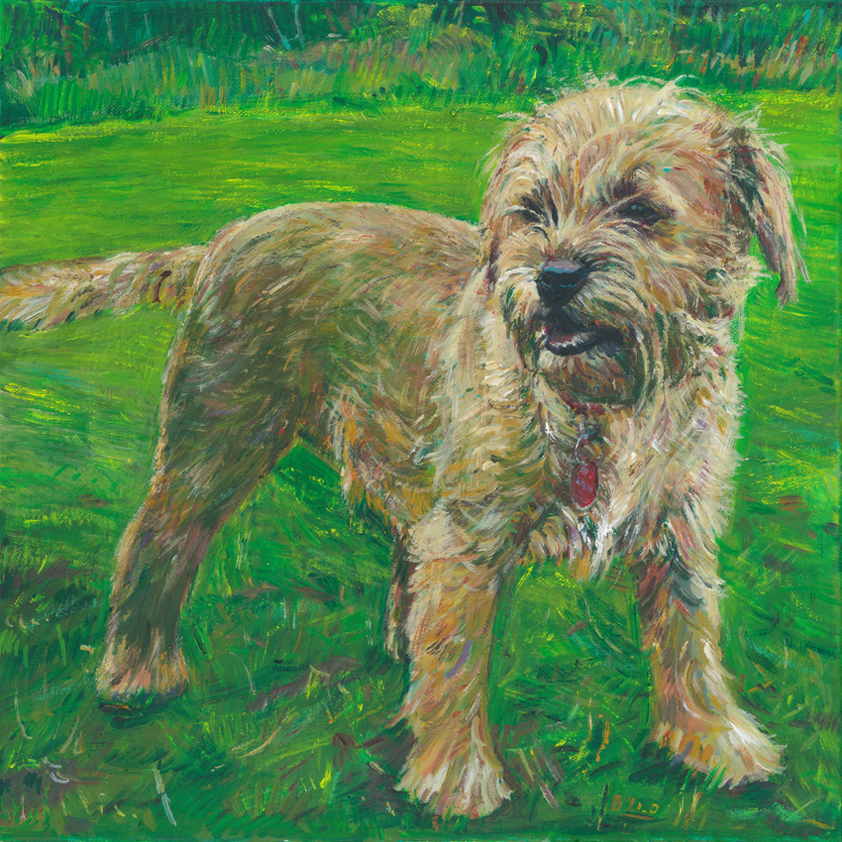 Painting of a border terrier standing in a green field